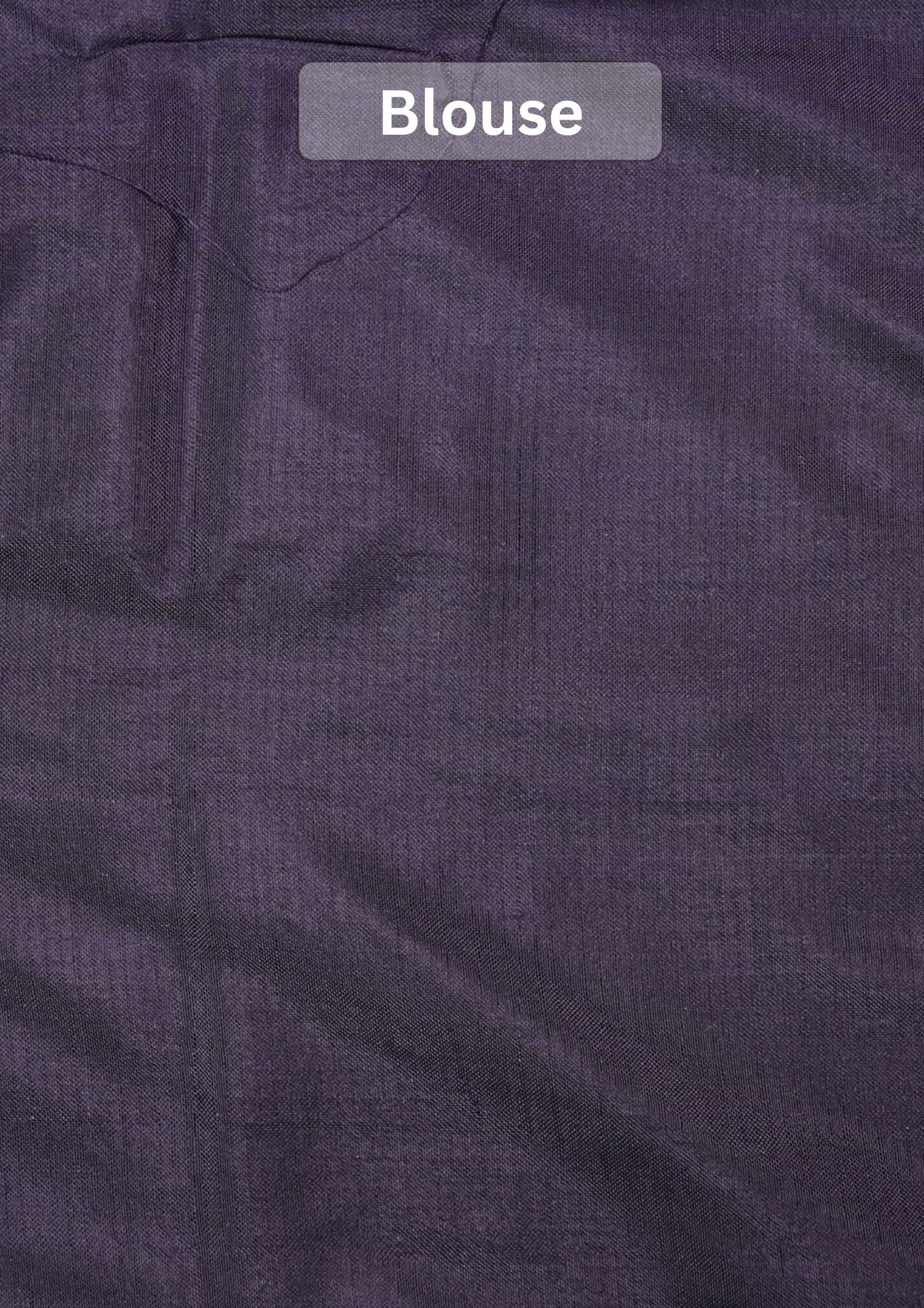Founder Choice 073: Pure Katan Patola Ikkat Handloom Silk Saree in Indigo Blue