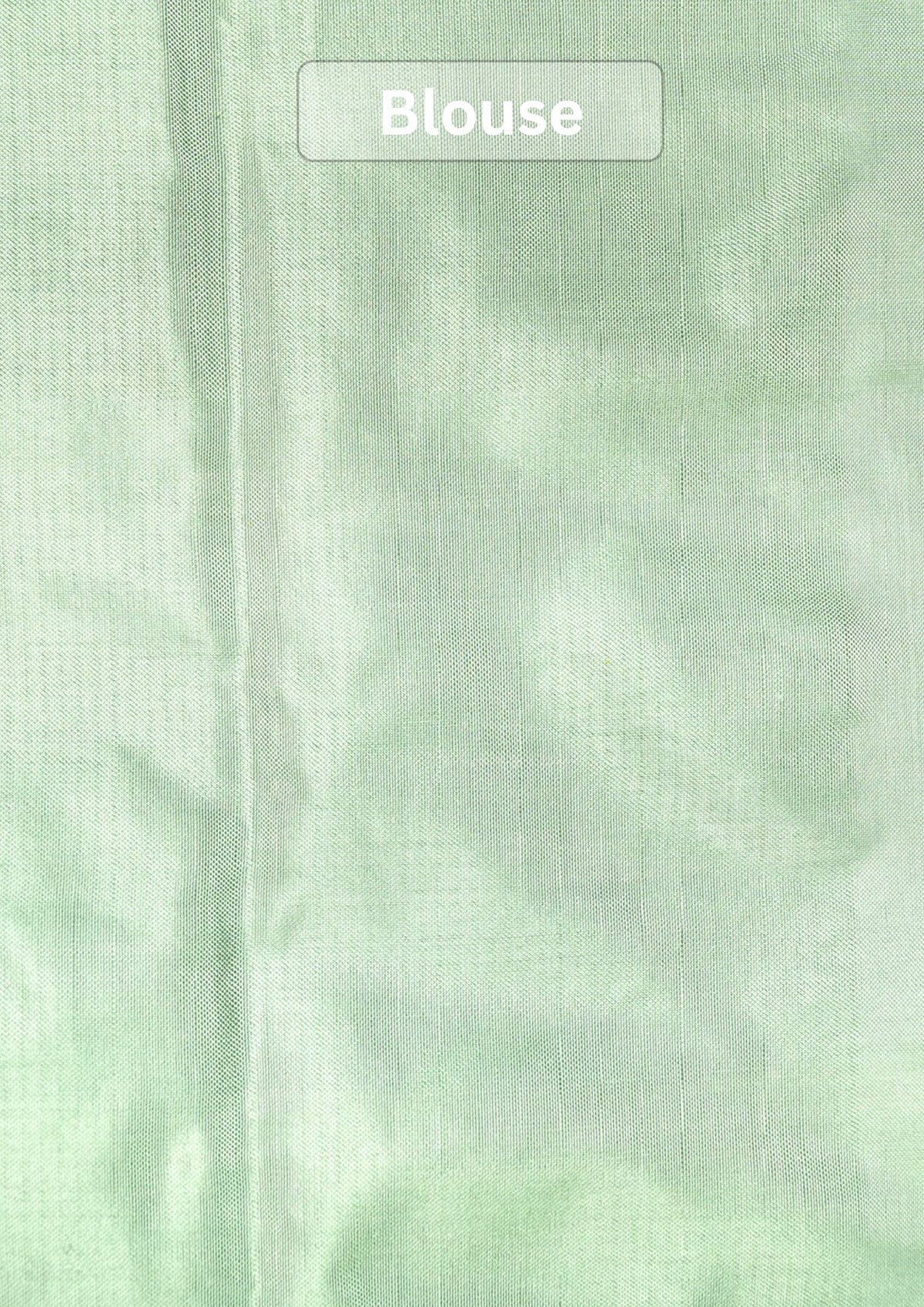 Founder Choice 072: Pure Katan Patola Ikkat Handloom Silk Saree in Pista Green