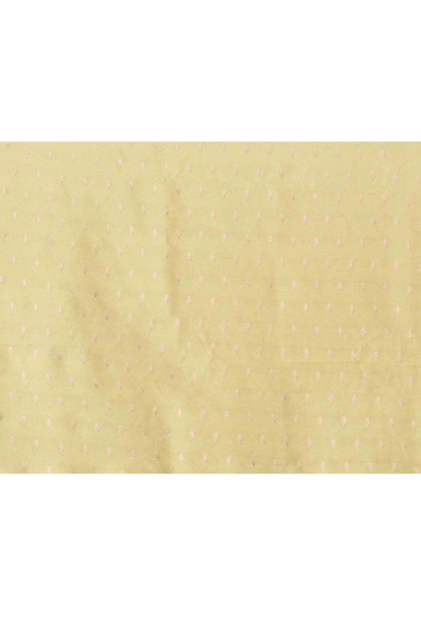 "WAAH BANARAS 019" Pista Green Banarasi Silk Saree