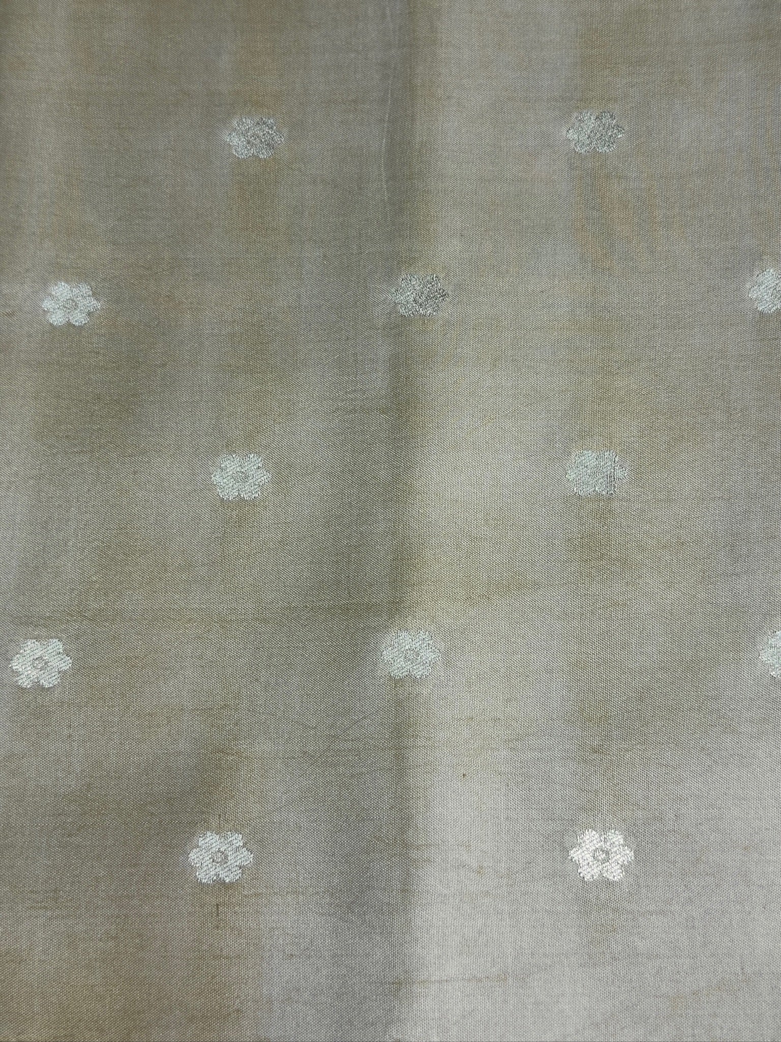 VIRASAT 368: Gold Pure Katan Silk Saree with Zari Lion Motif Border