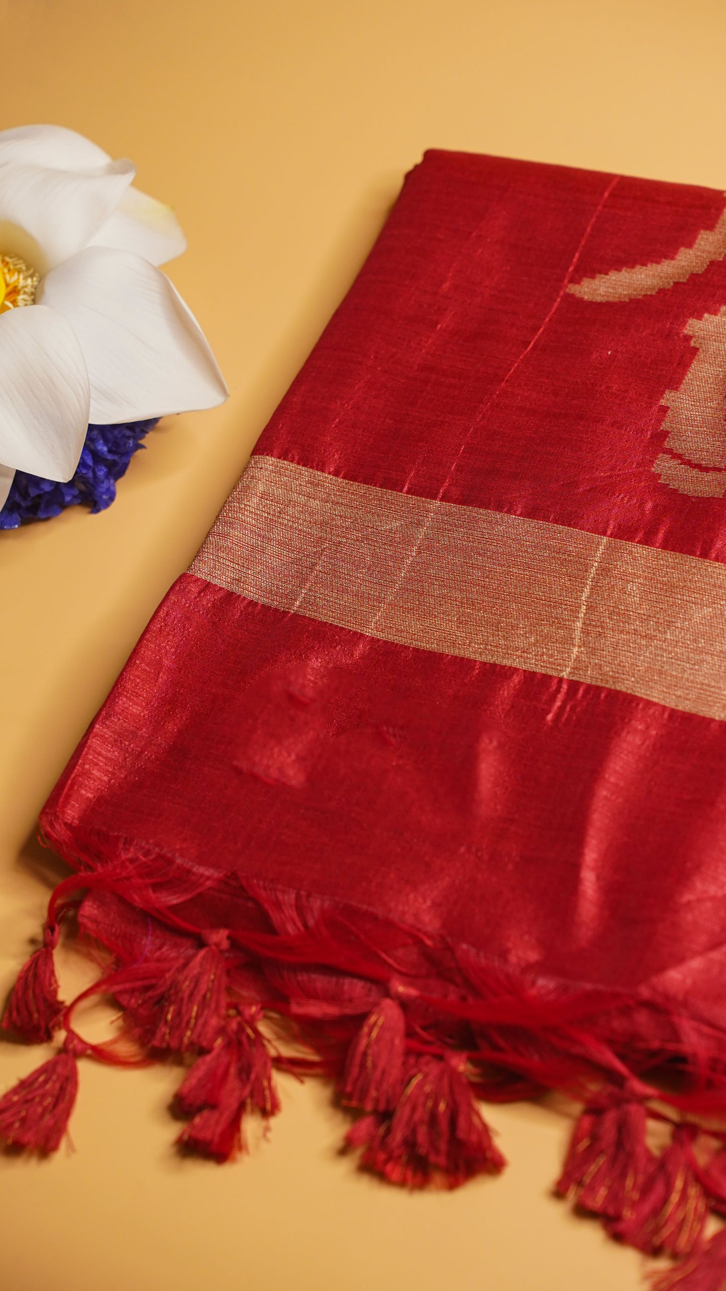 "UTSAV BANARAS 109" Banarasi Red Raw Silk With Nandi Border Saree