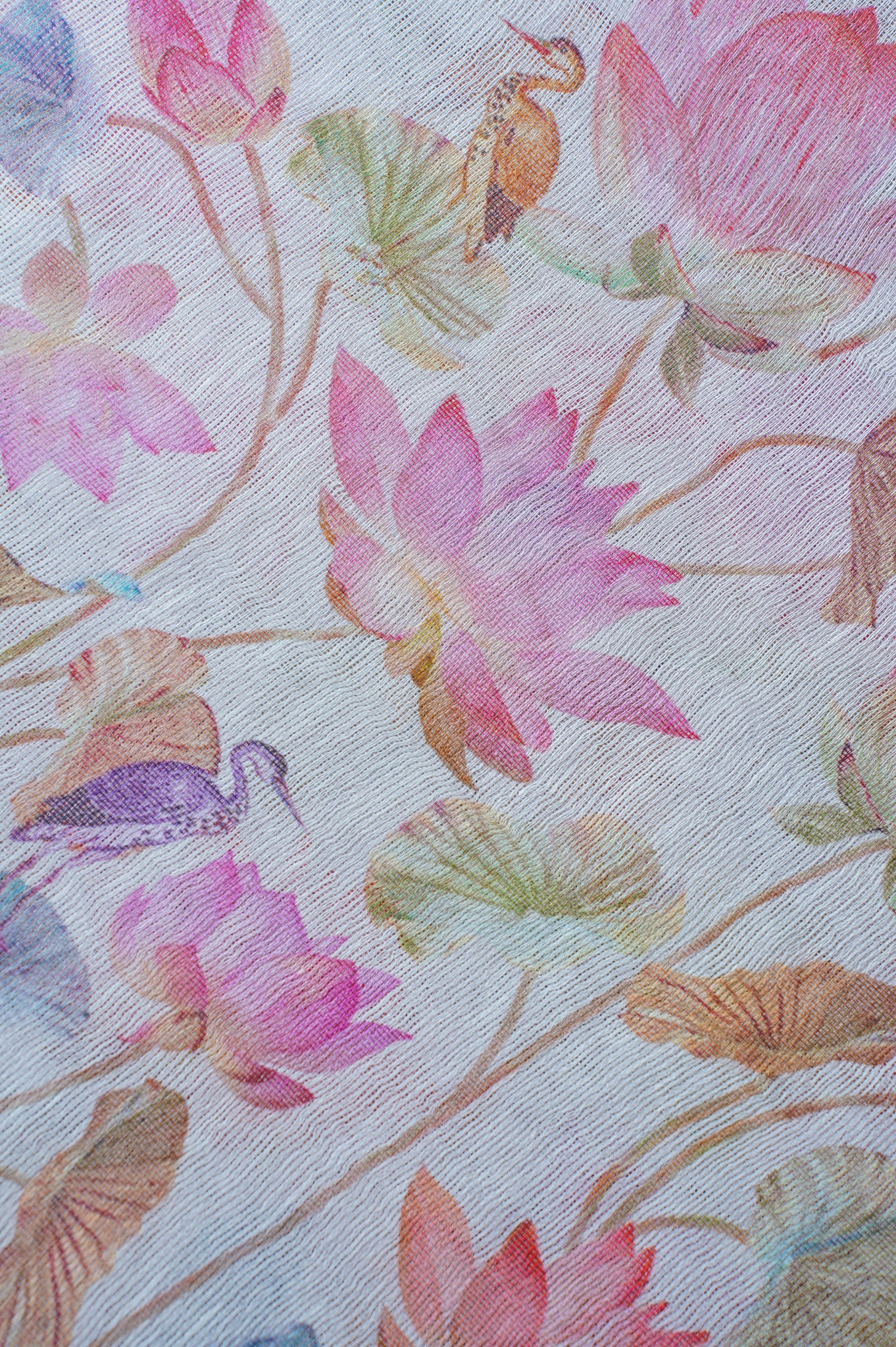 "Founder Choice 026"Banarasi Cream Nature Inspired Jutt Silk Saree With Lotus Floral Print