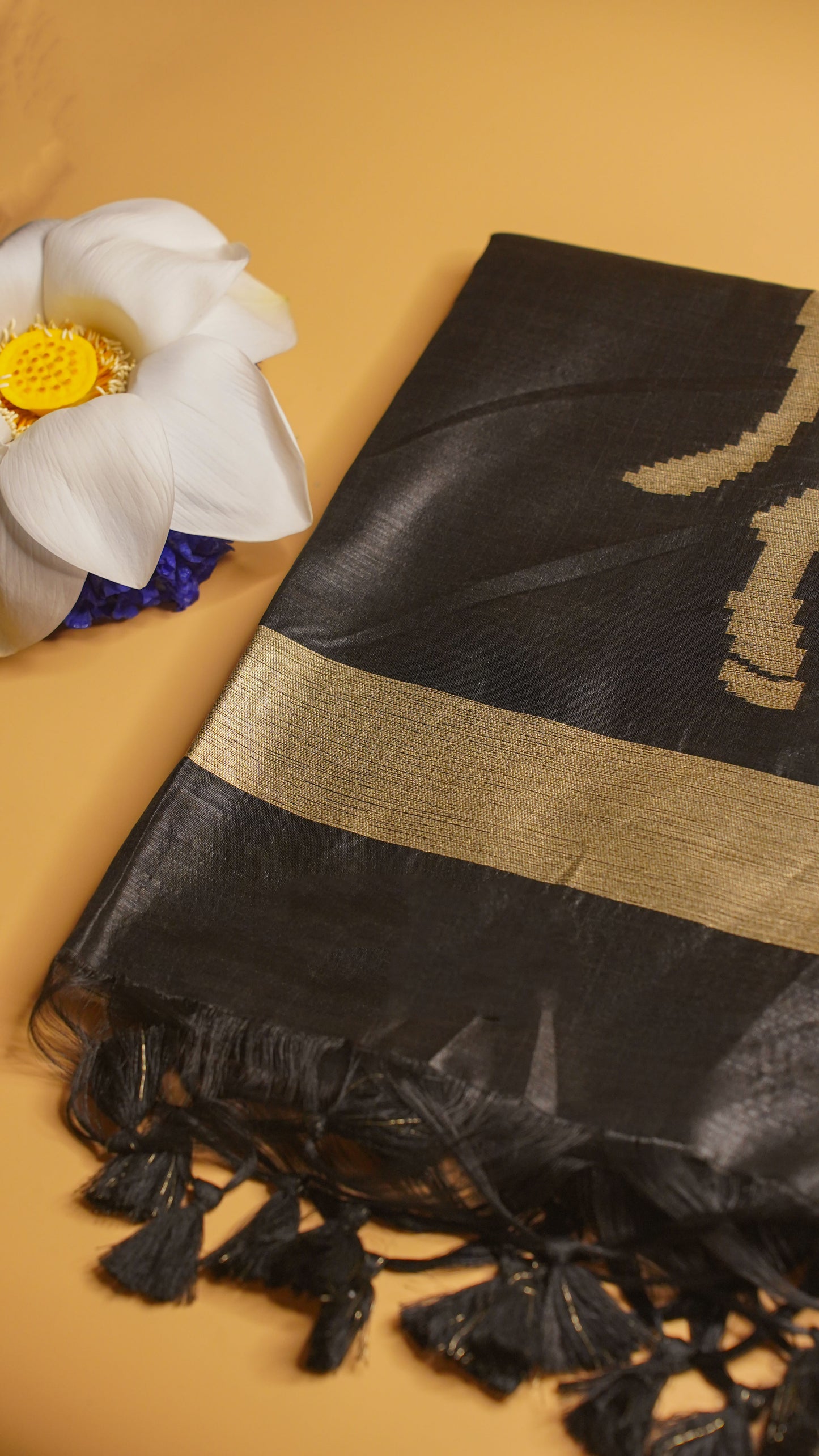 "UTSAV BANARAS 108" Banarasi Black Raw Silk With Nandi Border Saree