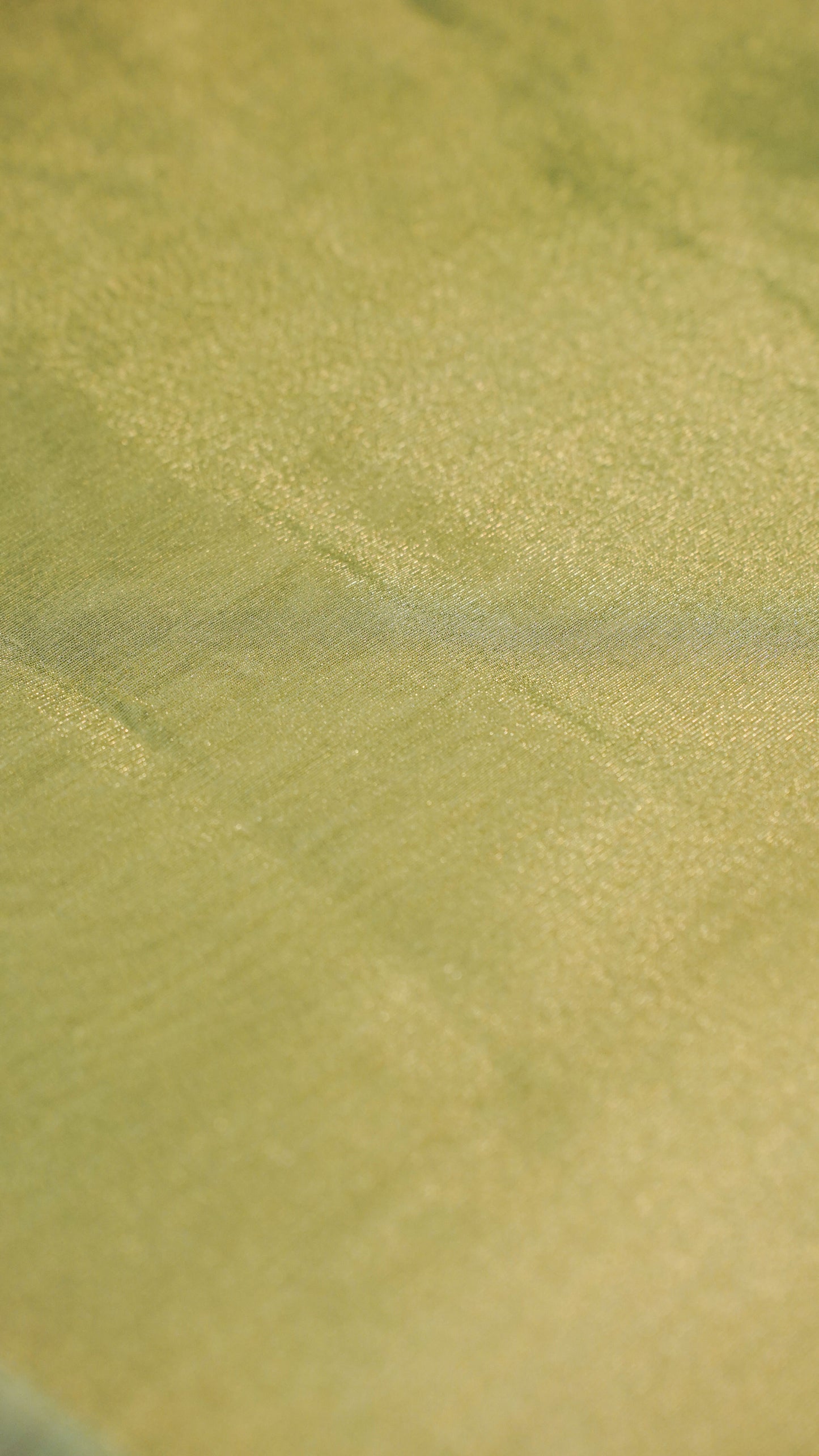 "UTSAV BANARAS 152" Banarasi Green Tissue Cotton Silk Saree