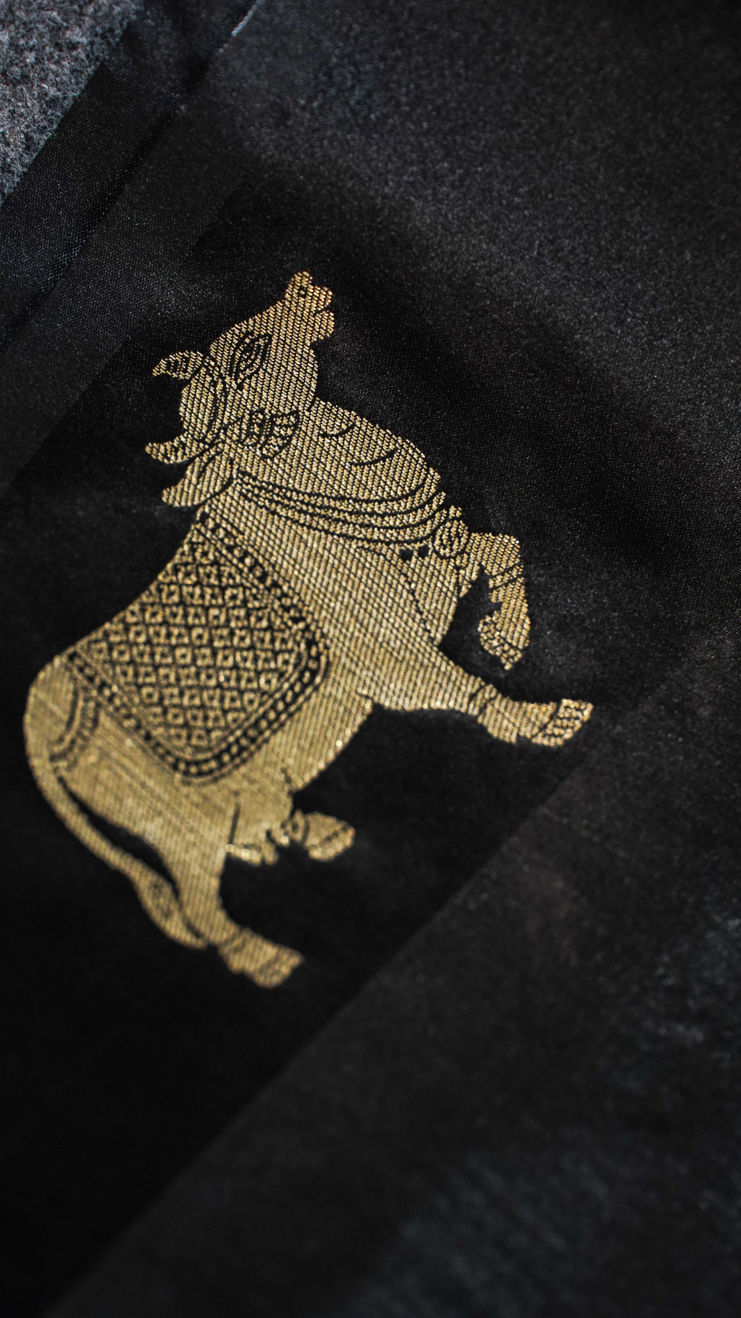 "UTSAV BANARAS 108" Banarasi Black Raw Silk With Nandi Border Saree