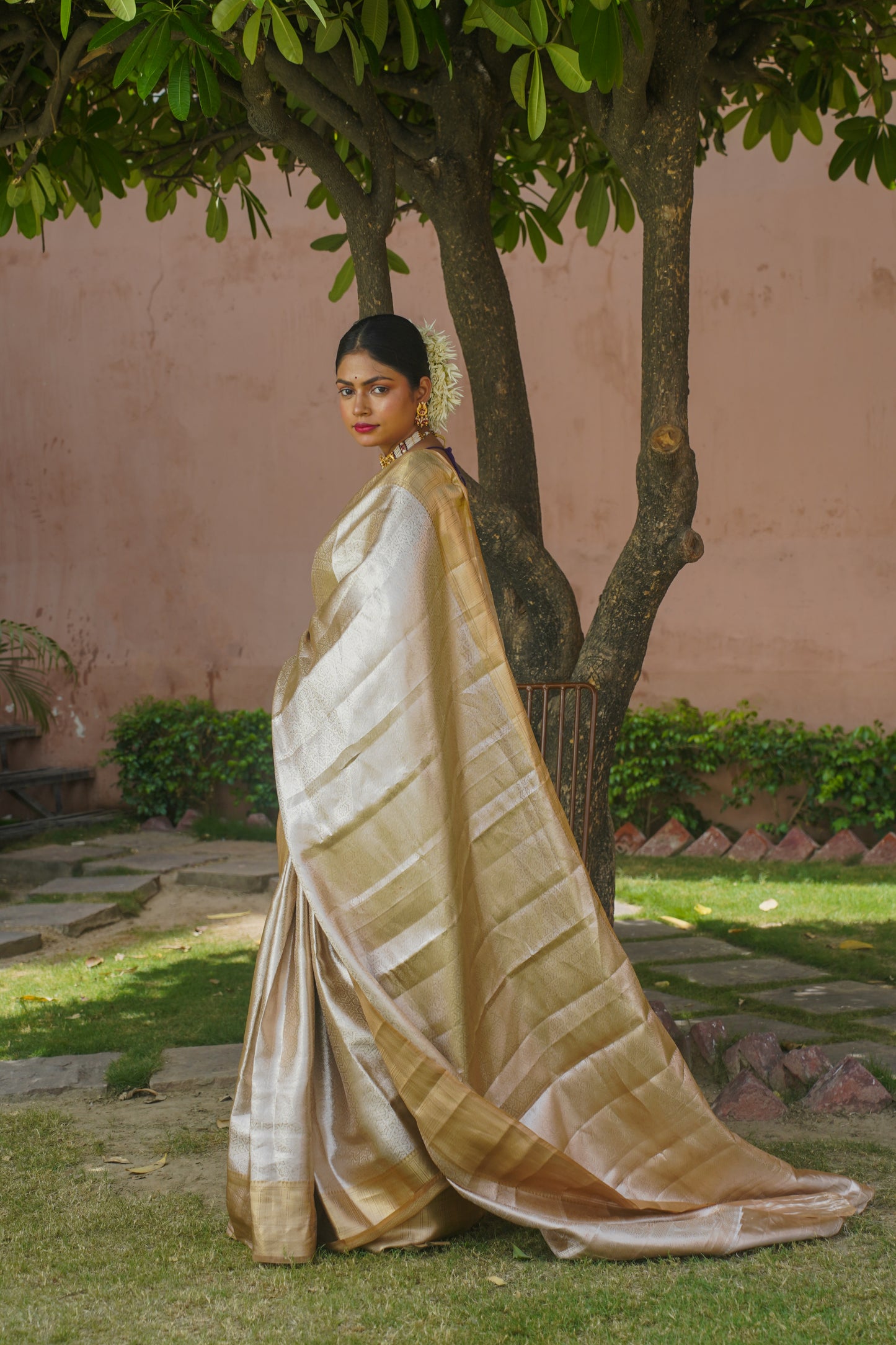 "VIRASAT 013" Golden Pure Tissue Silk Banarasi Saree