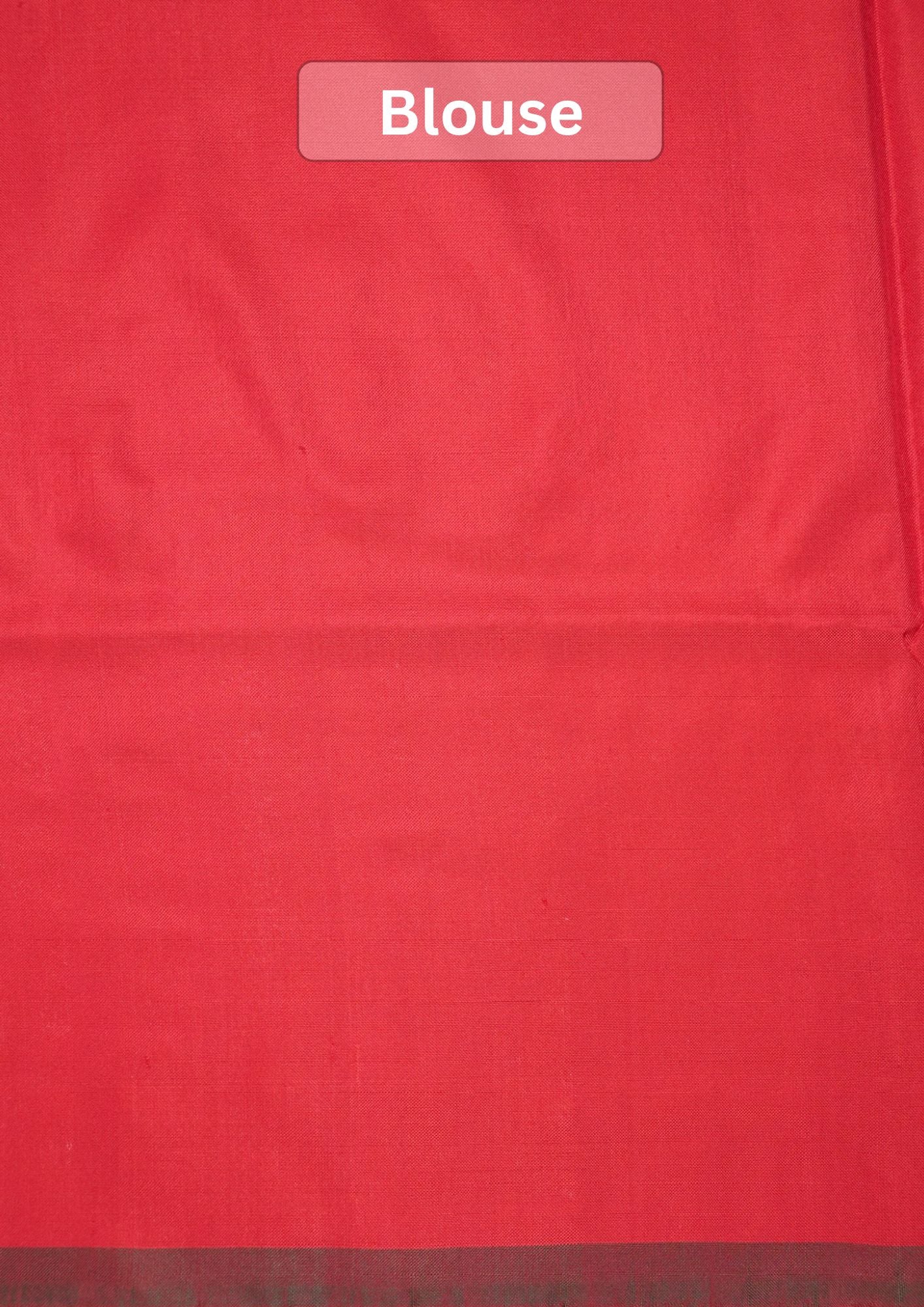Founder Choice 069: Pure Handloom Red Katan Patola Ikkat Silk Saree Multicolor Block Design