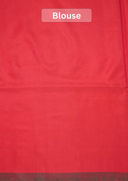 Founder Choice 069: Pure Handloom Red Katan Patola Ikkat Silk Saree Multicolor Block Design
