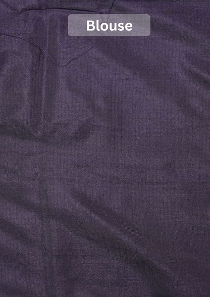 Founder Choice 073: Pure Katan Patola Ikkat Handloom Silk Saree in Indigo Blue