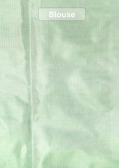Founder Choice 072: Pure Katan Patola Ikkat Handloom Silk Saree in Pista Green