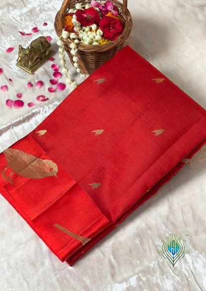 VIRASAT 371: Chocolate Brown Pure Mulberry Silk Saree with Zari Work