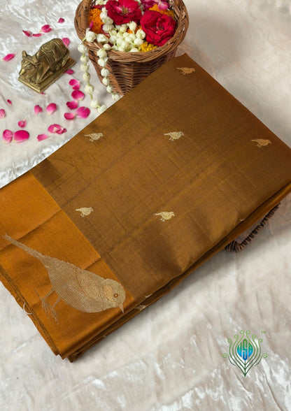 VIRASAT 371: Chocolate Brown Pure Mulberry Silk Saree with Zari Work