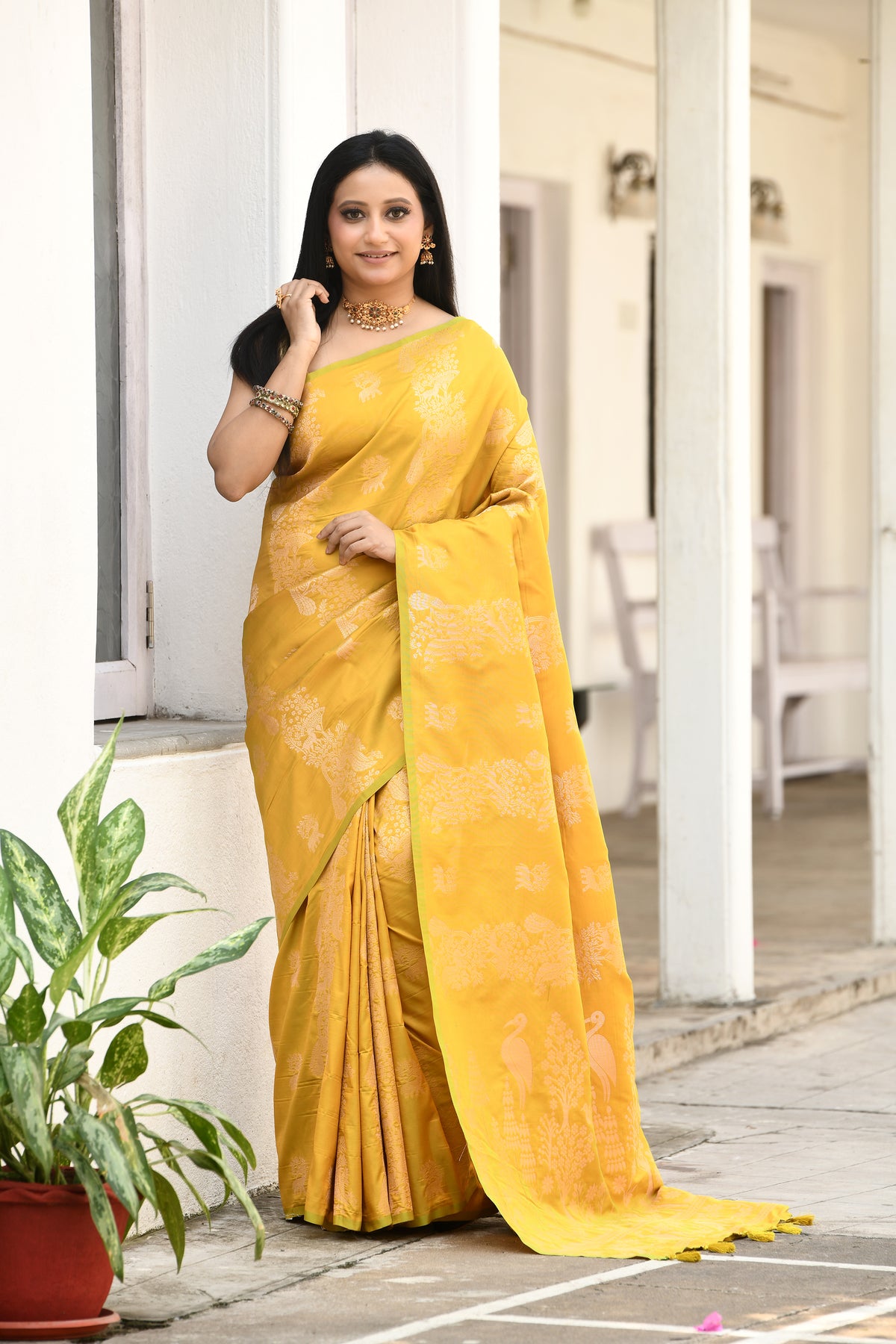UTSAV BANARAS 538: Olive Yellow Soft Semi Silk Saree with Intricate Zari Border &amp; Heavy Palla