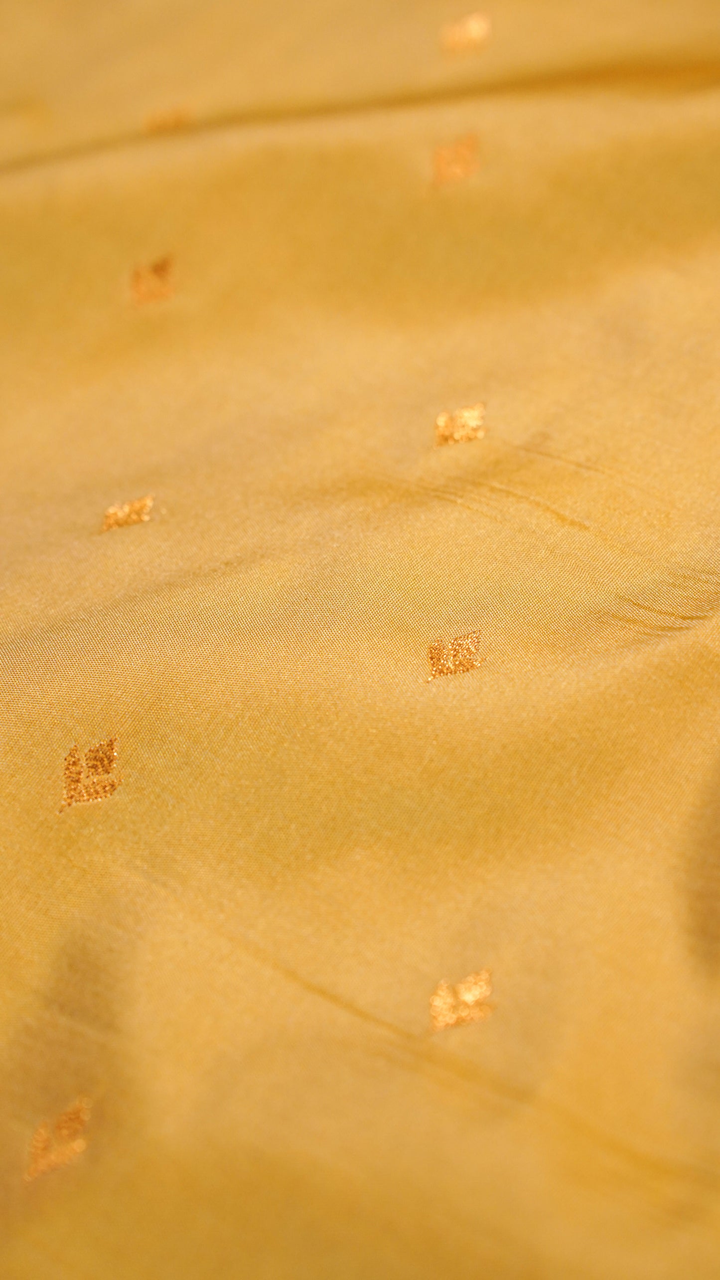 "UTSAV BANARAS 154" Banarasi Golden Yellow Katan Silk Saree