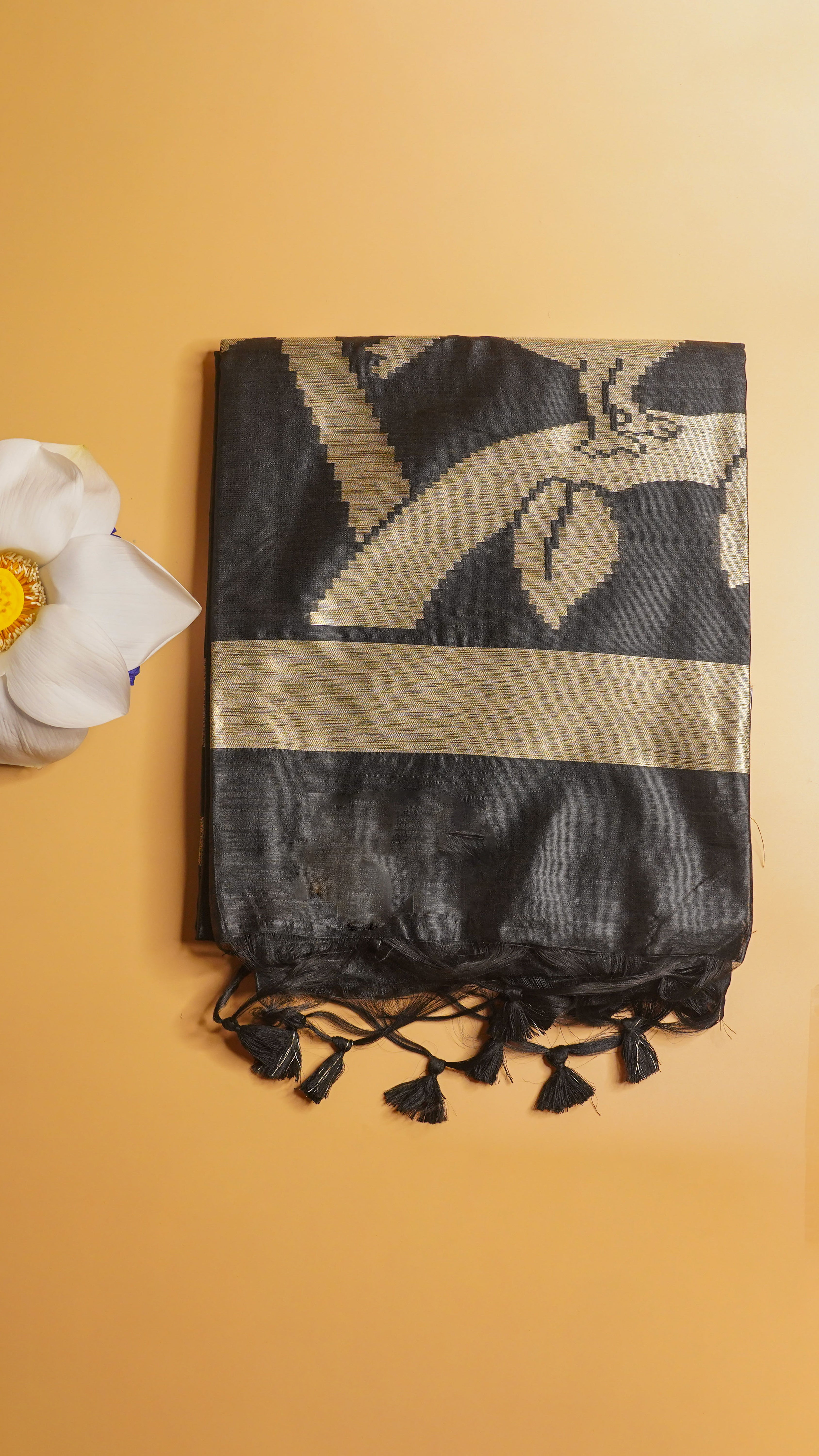 "UTSAV BANARAS 112" Banarasi Black Raw Silk With Bird Border Saree