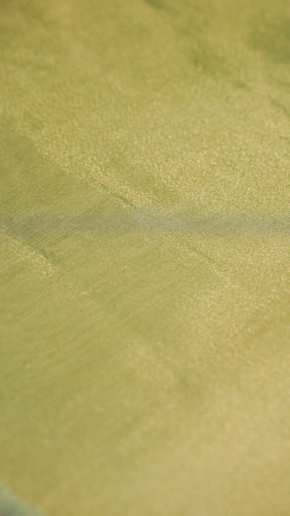 "UTSAV BANARAS 152" Banarasi Green Tissue Cotton Silk Saree