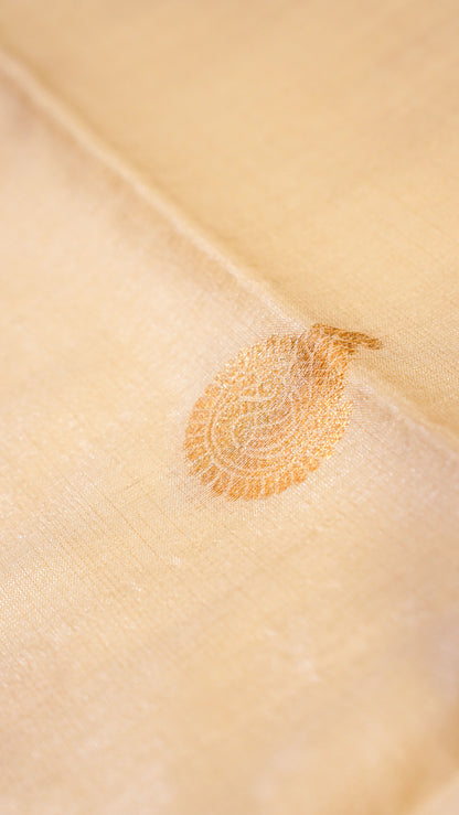 "UTSAV BANARAS 131" Banarasi Cream Temple Border Raw Silk Saree
