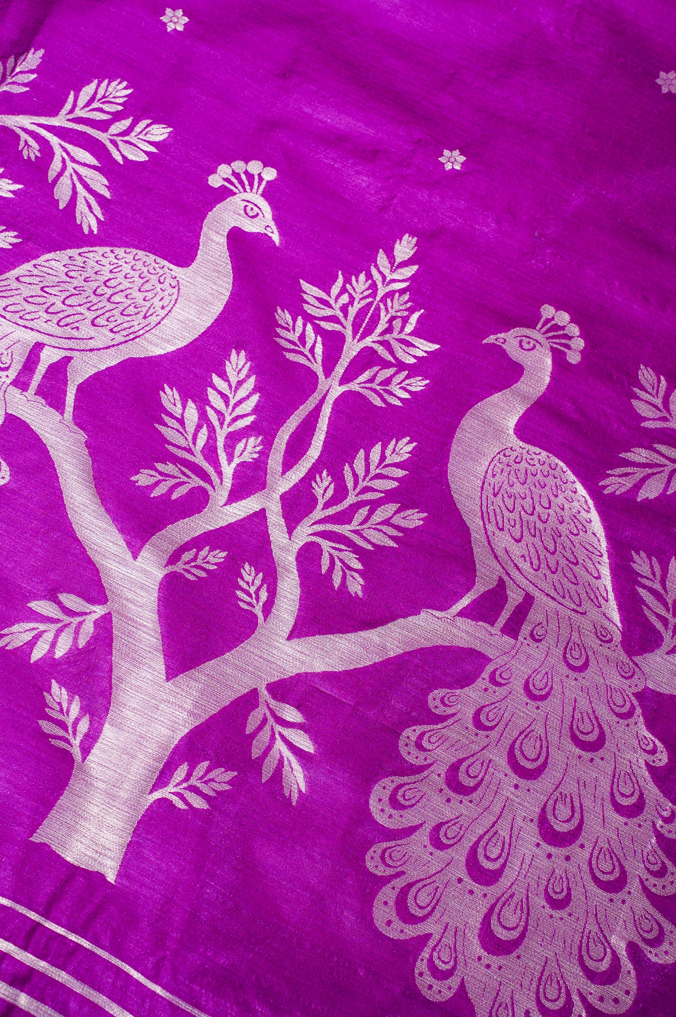 "UTSAV BANARAS 229" Banarasi Magenta Raw Silk Saree With Silver Zari Peacock &amp; Tree Motifs