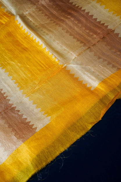 Beige Pure Tussar Tissue Silk Chapai Handwoven Banarasi Saree