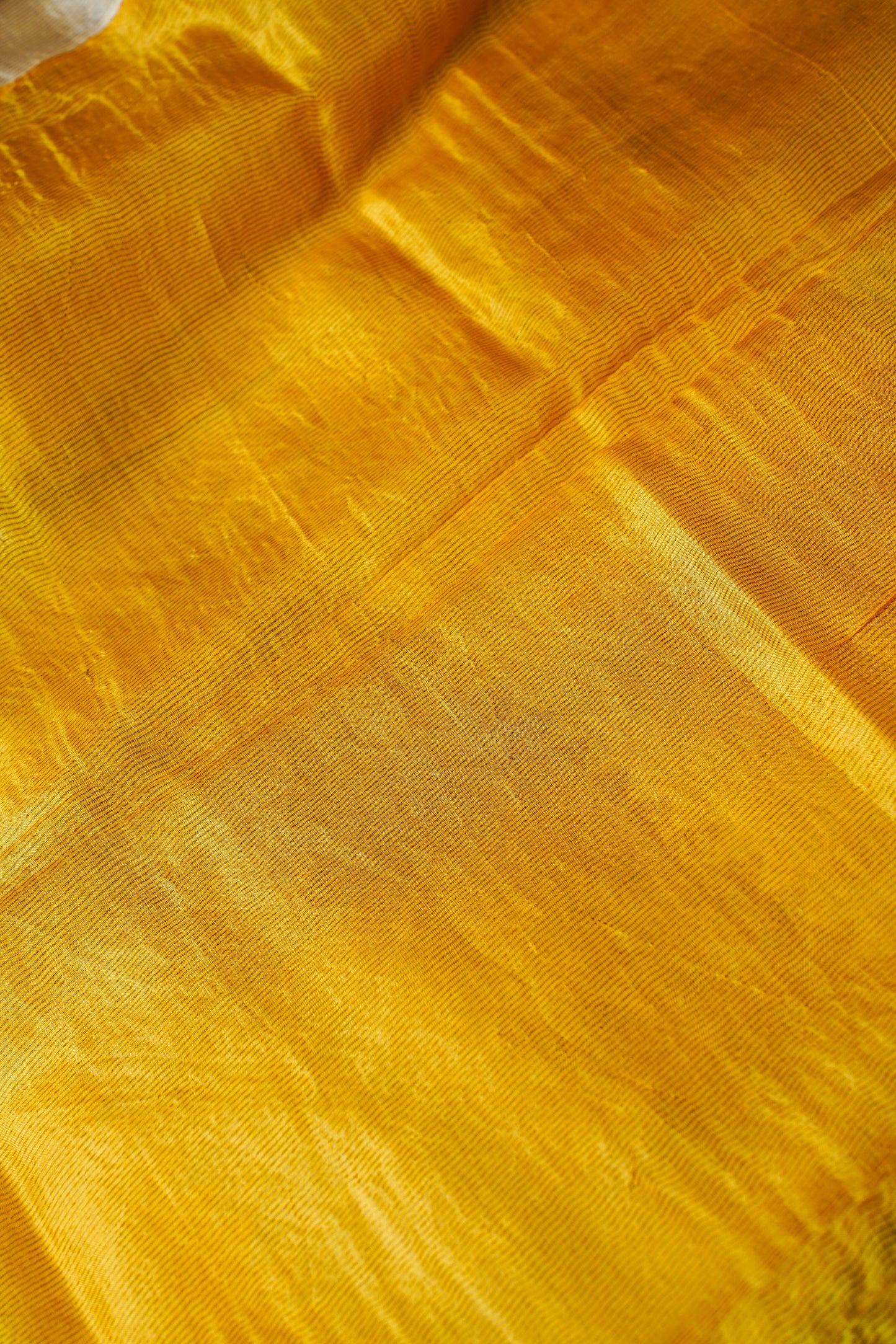 Beige Pure Tussar Tissue Silk Chapai Handwoven Banarasi Saree