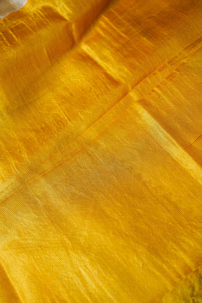 Beige Pure Tussar Tissue Silk Chapai Handwoven Banarasi Saree